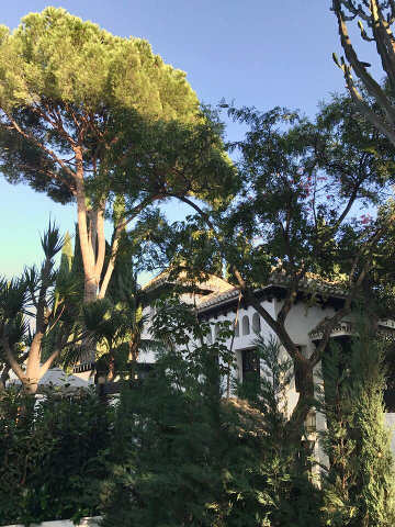 Marbella Club Hotel Garten